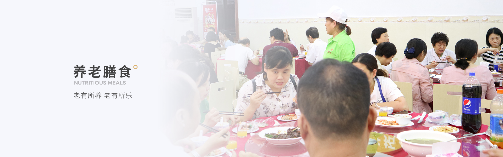 养老膳食